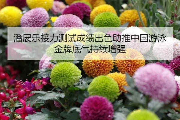 潘展乐接力测试成绩出色助推中国游泳金牌底气持续增强